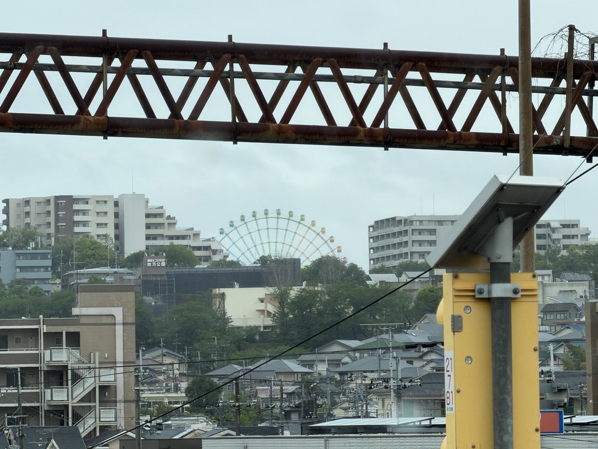 ぶり tweet media