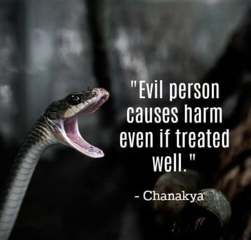 Shamz Tabrizi tweet media