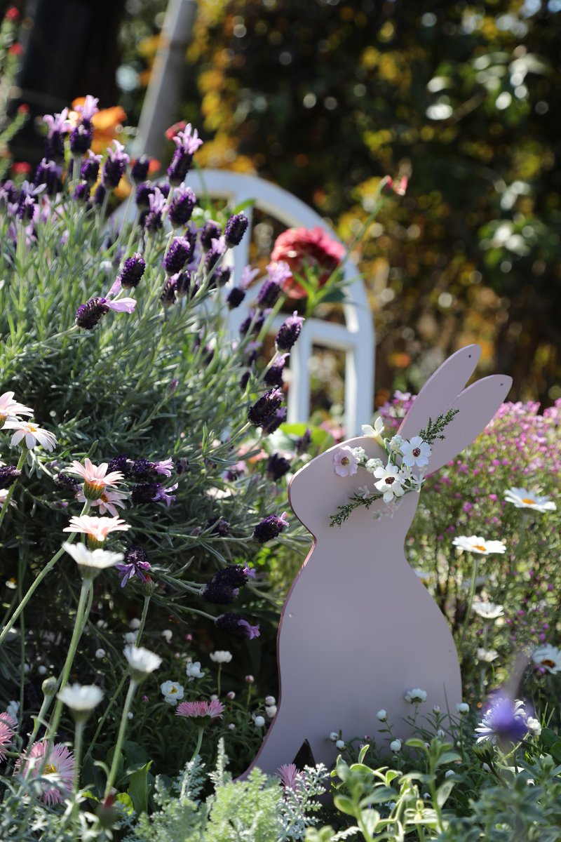 CDI881's tweet image. 花飾りウサギ🐰

#横浜イングリッシュガーデン
#スプリングフェスティバル
#Easter
#イースター