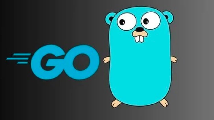 comidoc's tweet image. Golang For Absolute Beginners

⏱️ 1.6 hours
⭐ 3.92
👥 4,807
💰 $22.99 → 100% OFF

comidoc.com/udemy/golang-f…

#golang #learntocode #programming #udemy