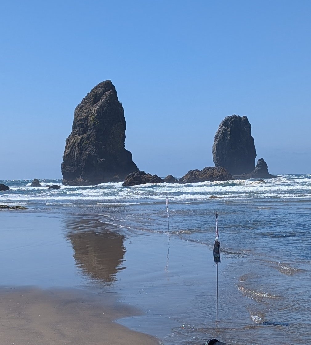 Rumble Dumbs tweet media