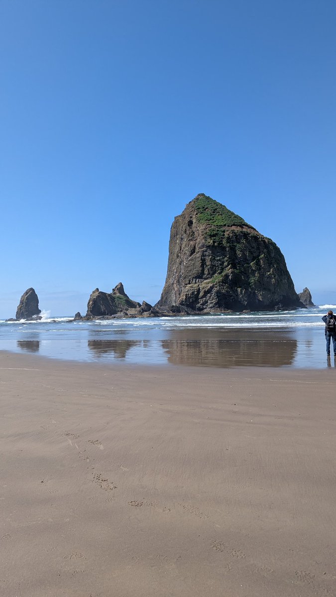 Rumble Dumbs tweet media