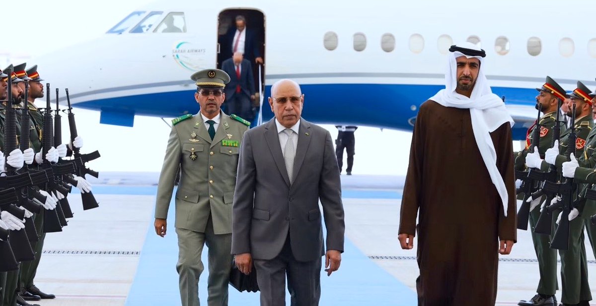 وليد كبير Oualid KEBIR🇩🇿 tweet media