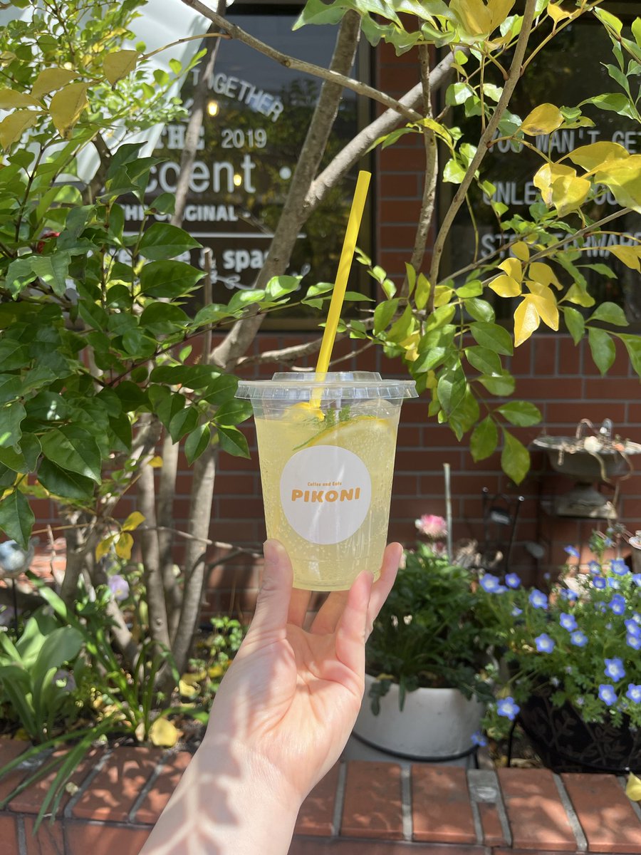jo1_shosei's tweet photo. 【#PIKONI 🌼】
今日はあいにくの雨。
いつもよりまったり営業になりそうだけど
そんな日があってもいいね。
今日は試作の写真撮影や、パン捏ねたりしよーっと🍞
京セラから１週間経とうとしている、、🥲

JAM待ってるよー🫶🏻！

#JO1 https://t.co/6OsYDvptGA