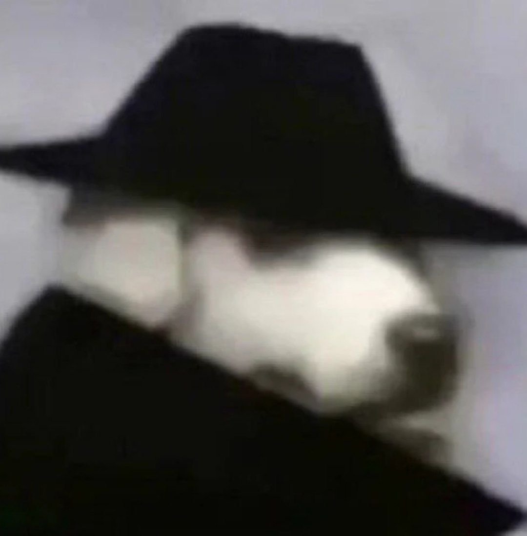 brunakin tweet media