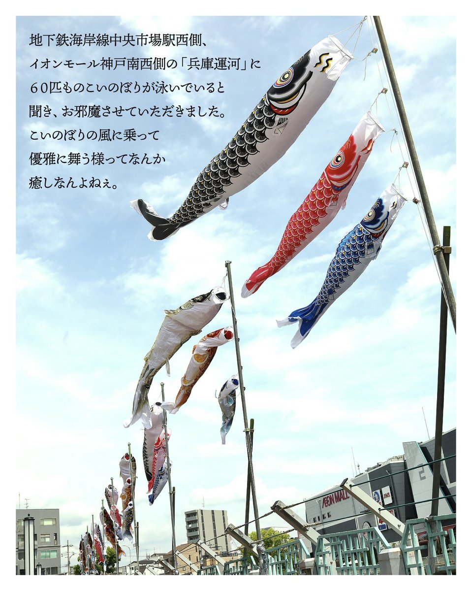 神戸人 tweet media
