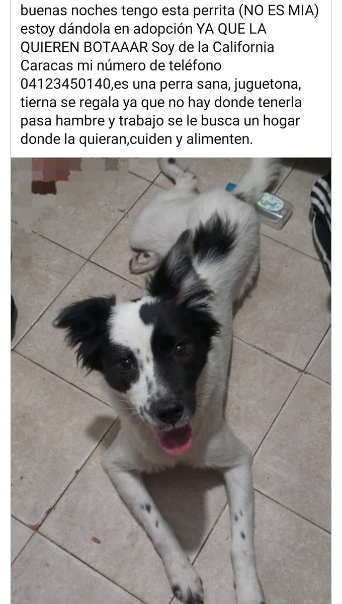 Reportan a esta pequeña que busca un hogar amoroso y responsable, CARACAS