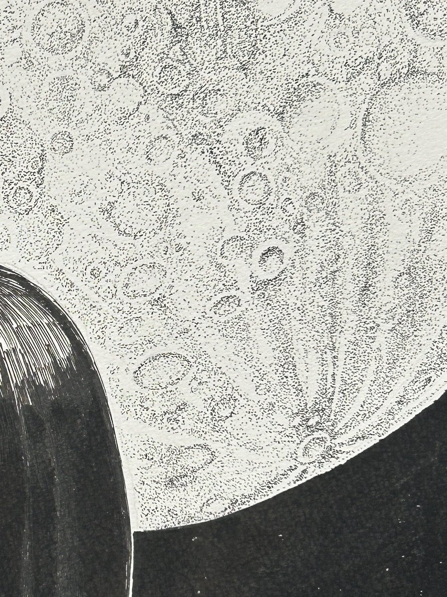 Chitosan🦀 tweet media