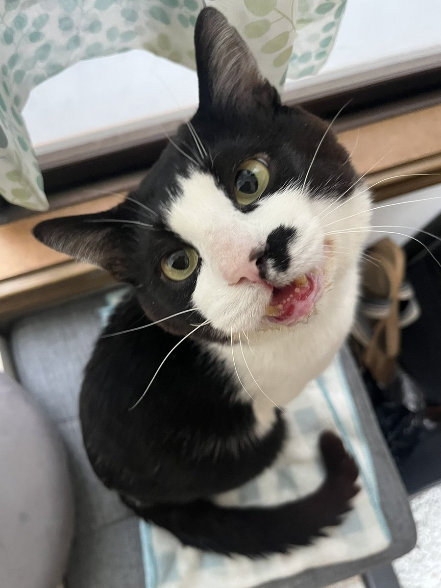 五十嵐  香織 tweet media