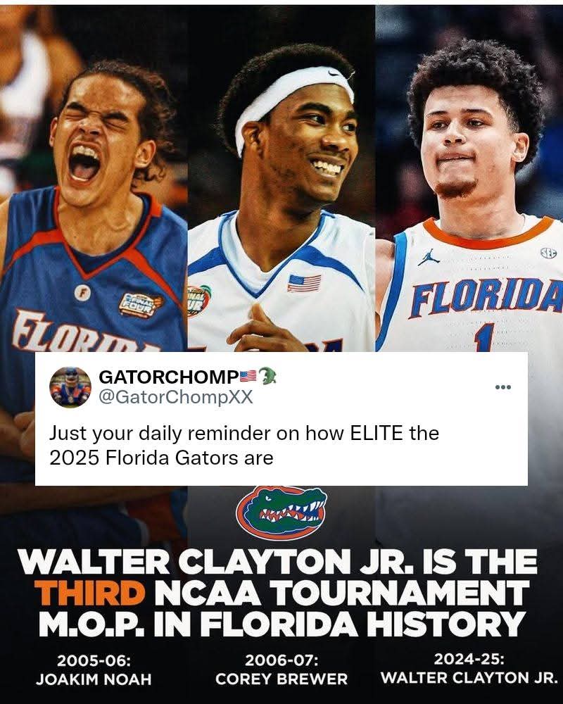 GATORCHOMP🇺🇲🐊 tweet media