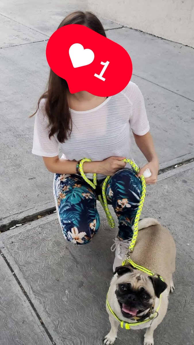 Daniela 🦄💜🩷 tweet media