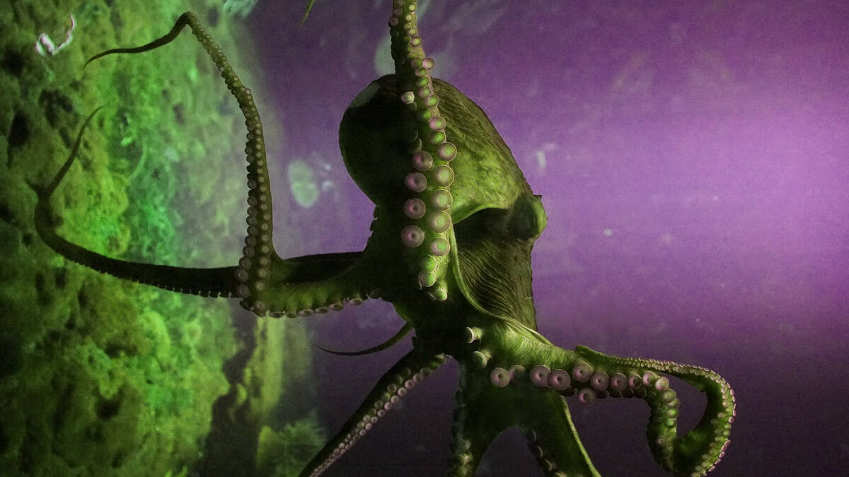 カラパイア tweet media