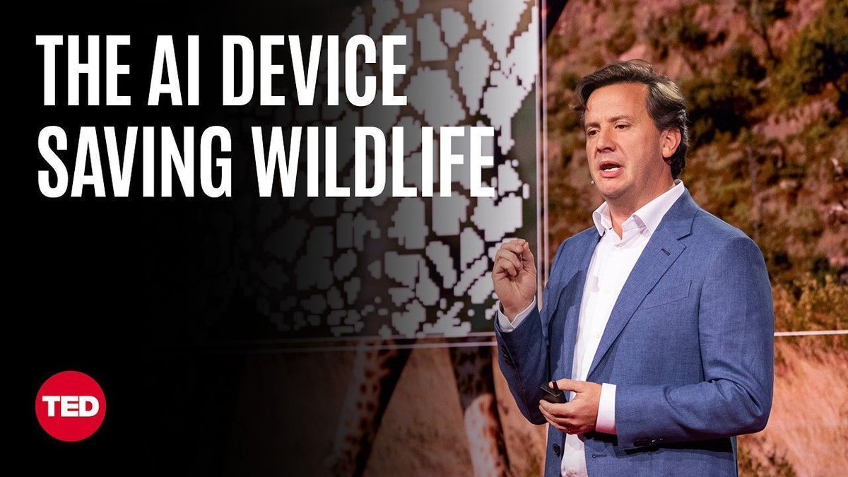 ipfconline1's tweet image. These #AI Devices Protect Nature in Real Time | @BDataScientist | @TEDTalks

 buff.ly/3YC77T4
#TechForGood #DataScience
Cc @BroadenView @gvalan @mayogisense @QAValley @TechUnityInc @mikeflache