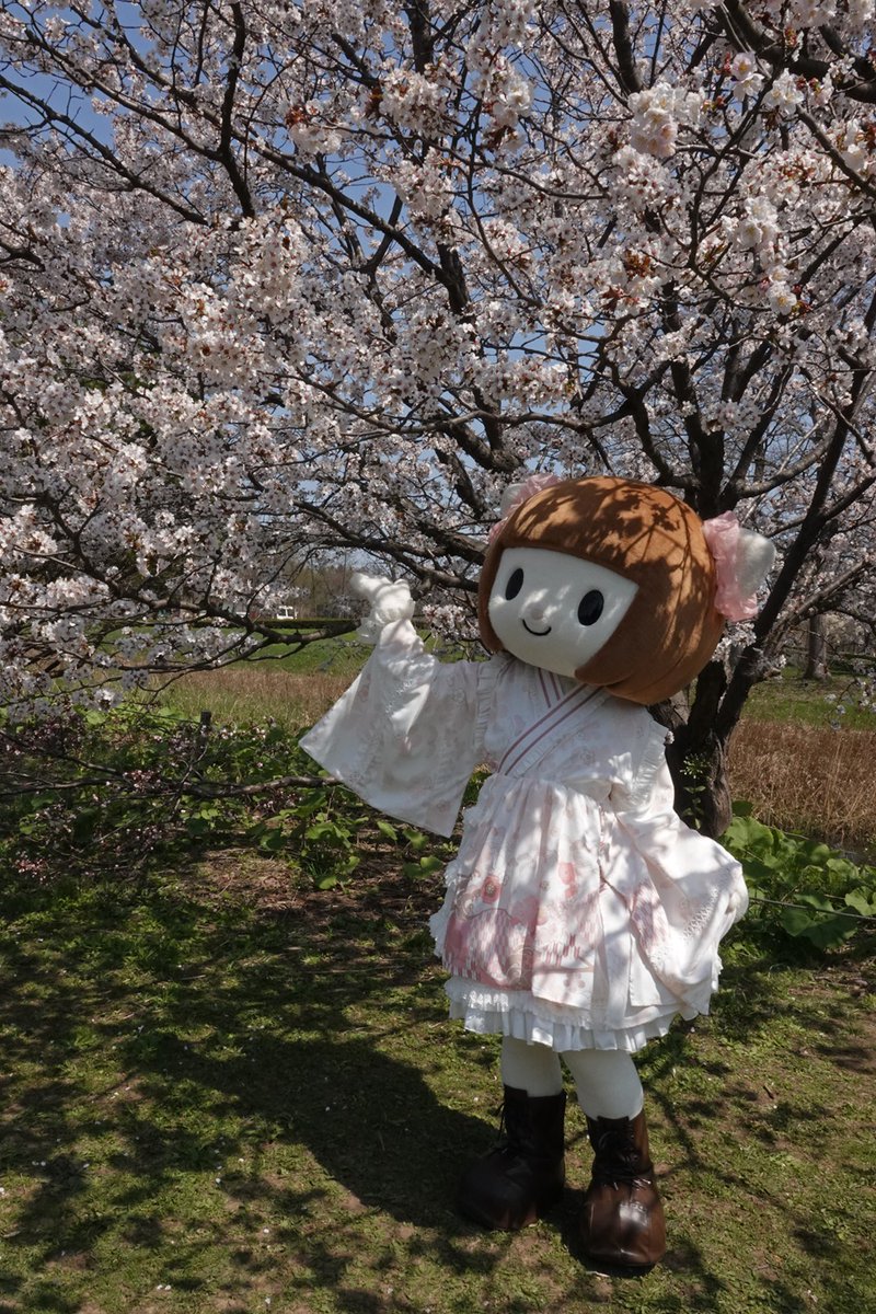 とまりん^^ tweet media