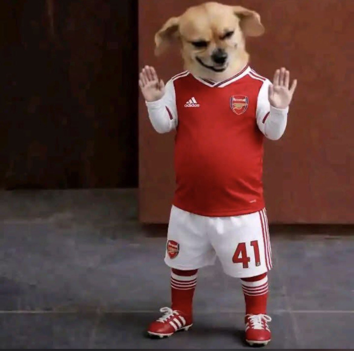 Ibrahim Mohammed tweet media