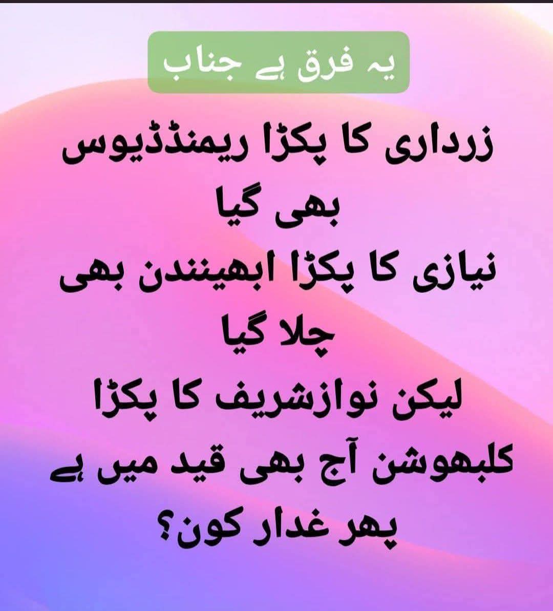 SARDAR 🐅🇵🇰 tweet media