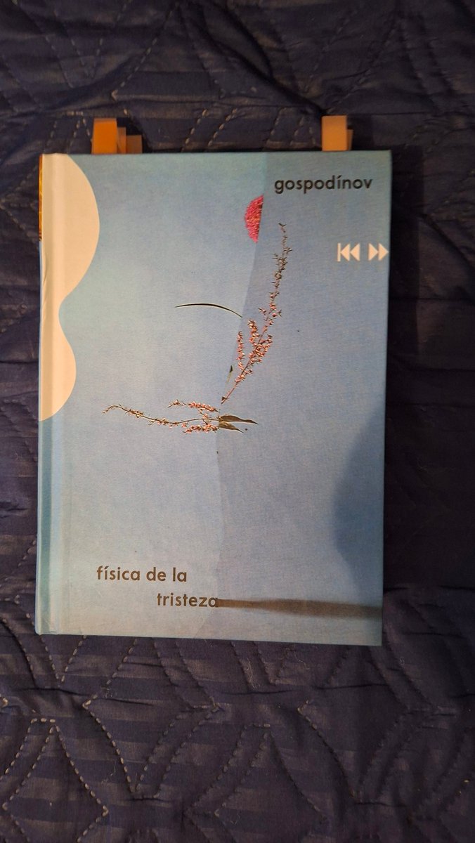 Carlos von Deleuze tweet media