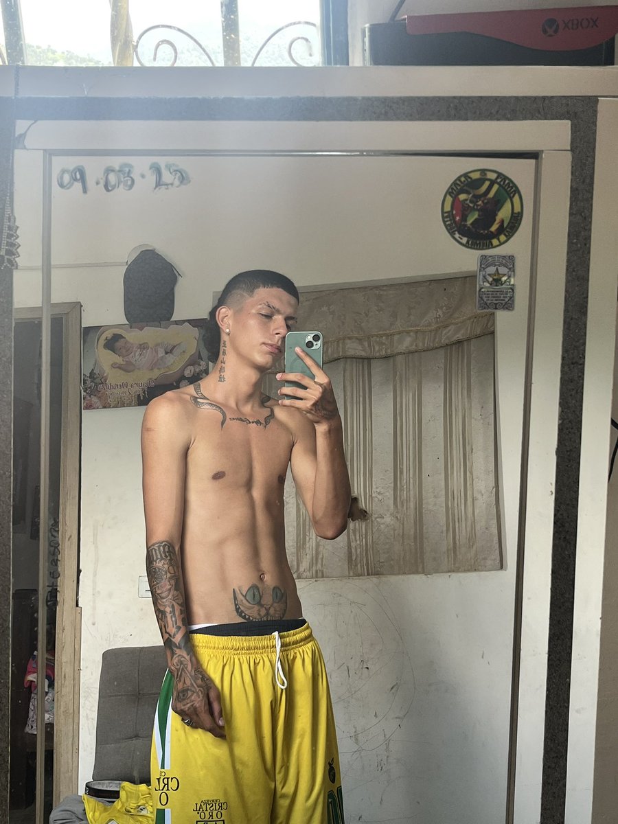 Pipe Calderon tweet media