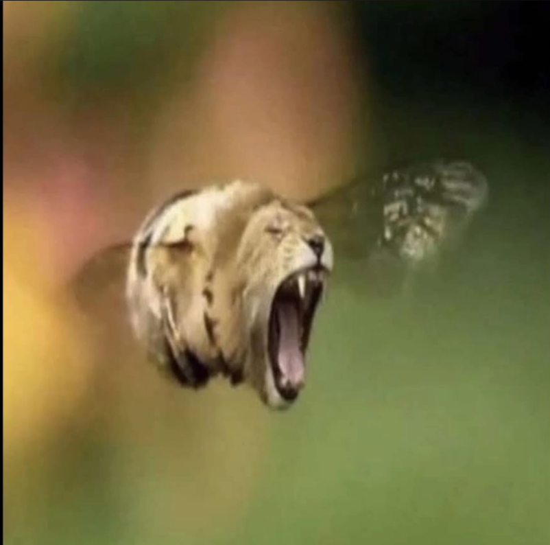 Chicago grim reaper tweet media