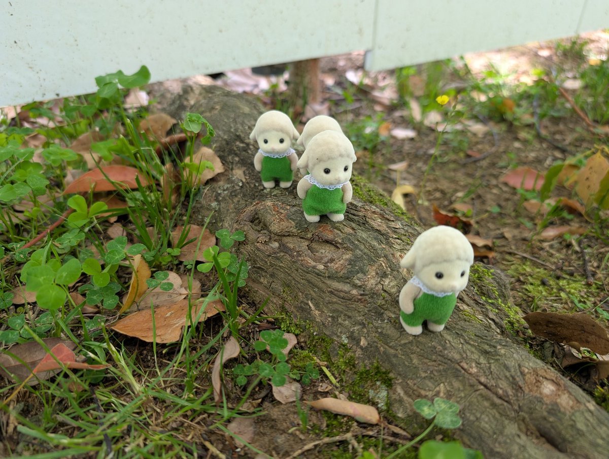 写真を撮るウサギ tweet media