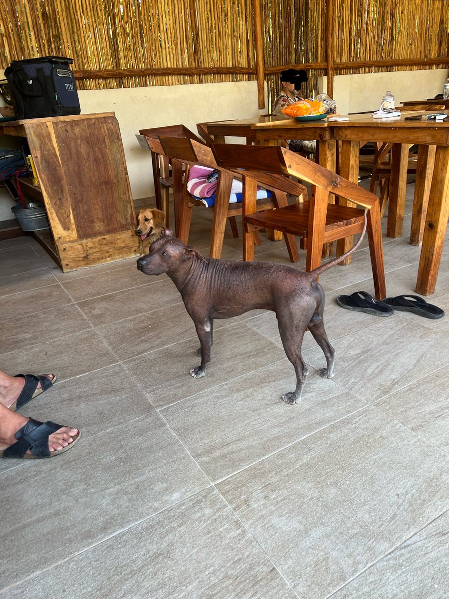 Cesar&Rita SW🍍 tweet media