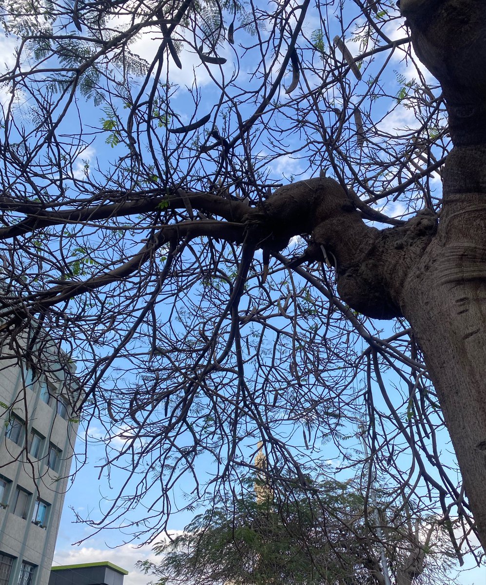 𝚣𝚊𝚑𝚛𝚊𝚊✿ tweet media