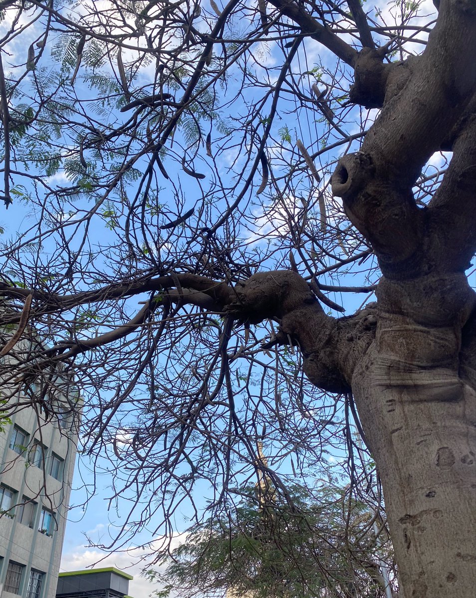 𝚣𝚊𝚑𝚛𝚊𝚊✿ tweet media