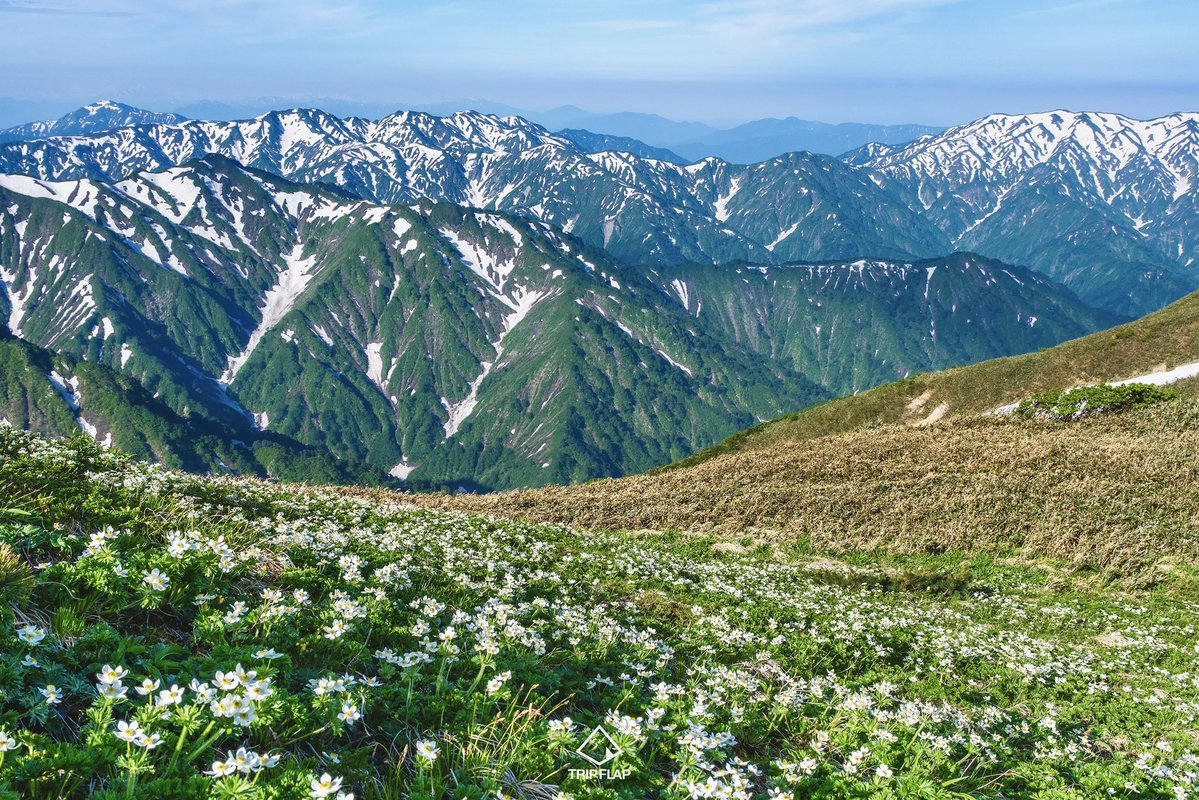 🅁🄴🄽🄾 tweet media