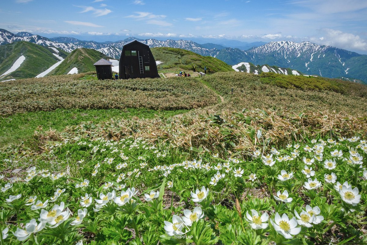 🅁🄴🄽🄾 tweet media