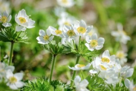 🅁🄴🄽🄾 tweet media