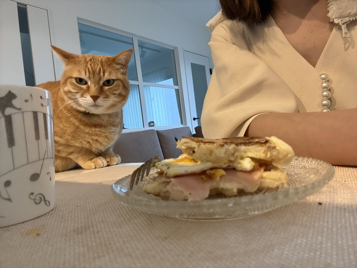 Kanae🎹🐈 tweet media