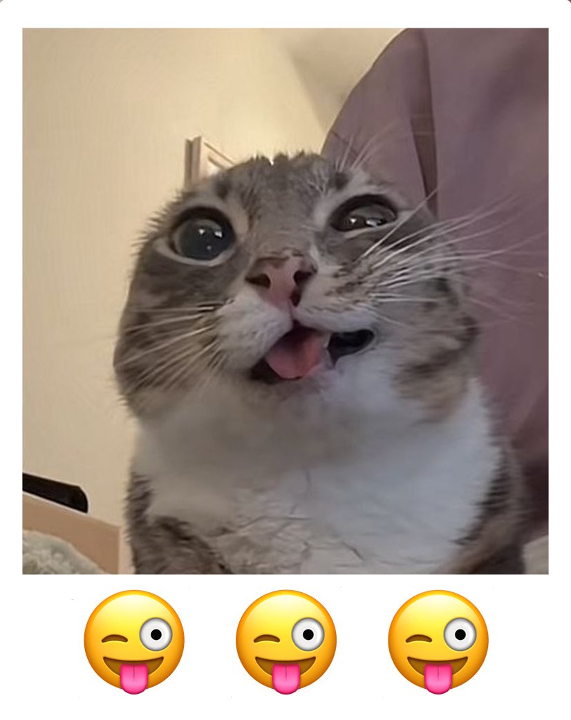 KittyTimer3D's tweet image. meme photo shoot #4
 
#blender #3DModel #Vtuber