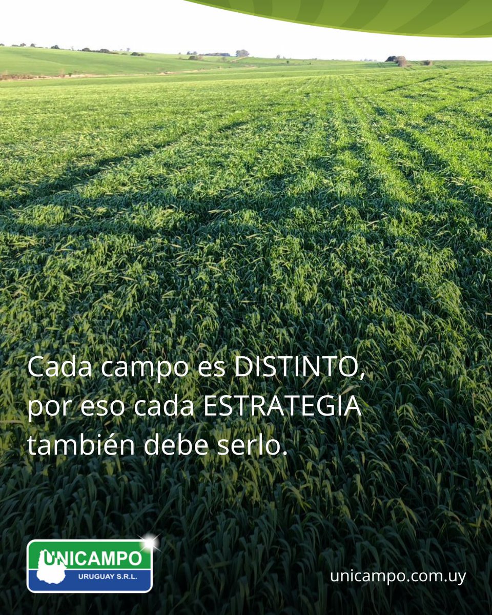 Unicampo Uruguay tweet media