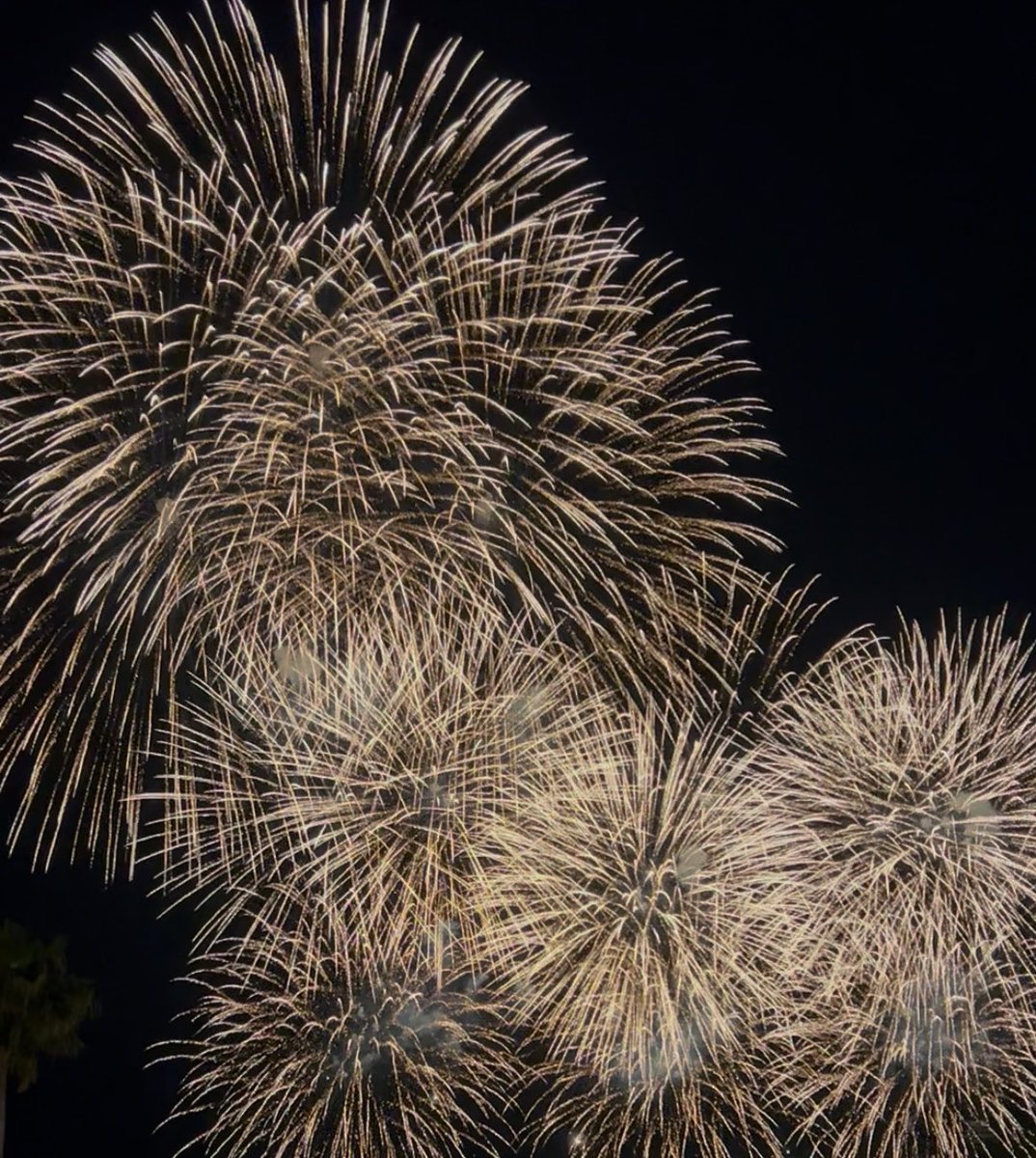 白石涼子 tweet media