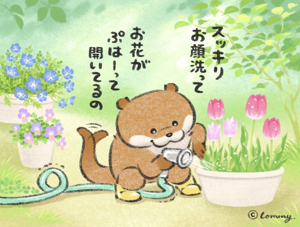可愛い嘘のカワウソ tweet media
