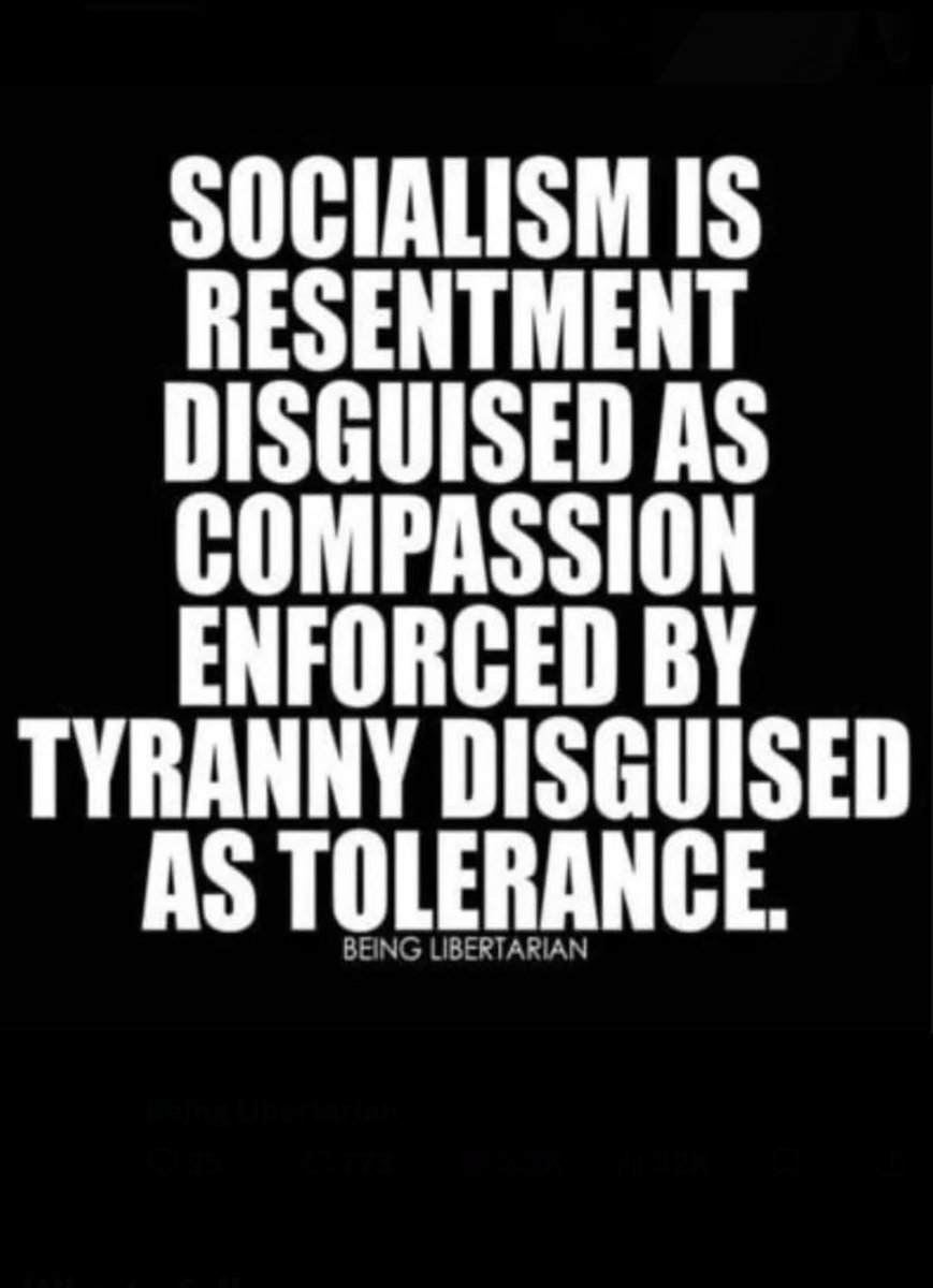 the pipe cabin tweet media