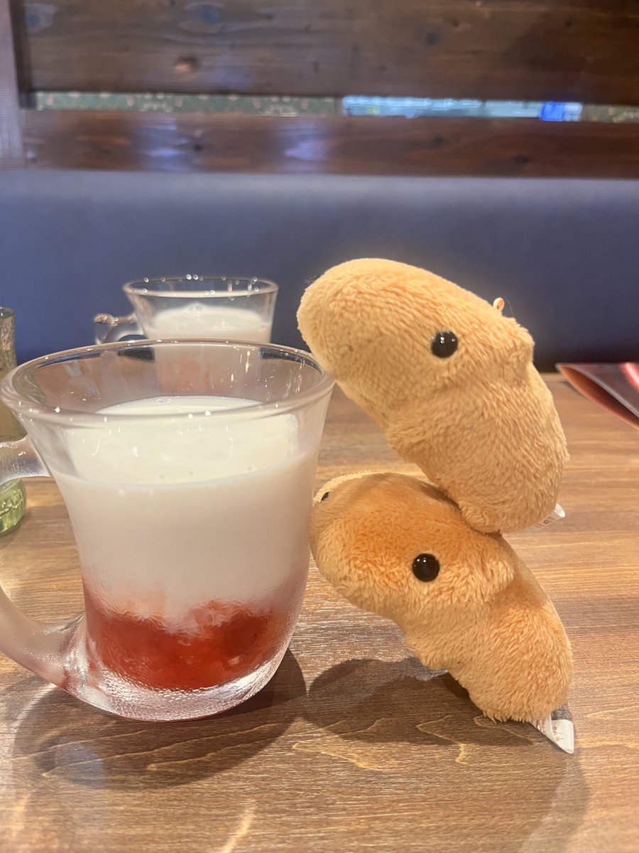 ⭐️カピバラさん⭐️様 カピバラさん【公式】 (@FROM_TRYWORKS) / Posts / X