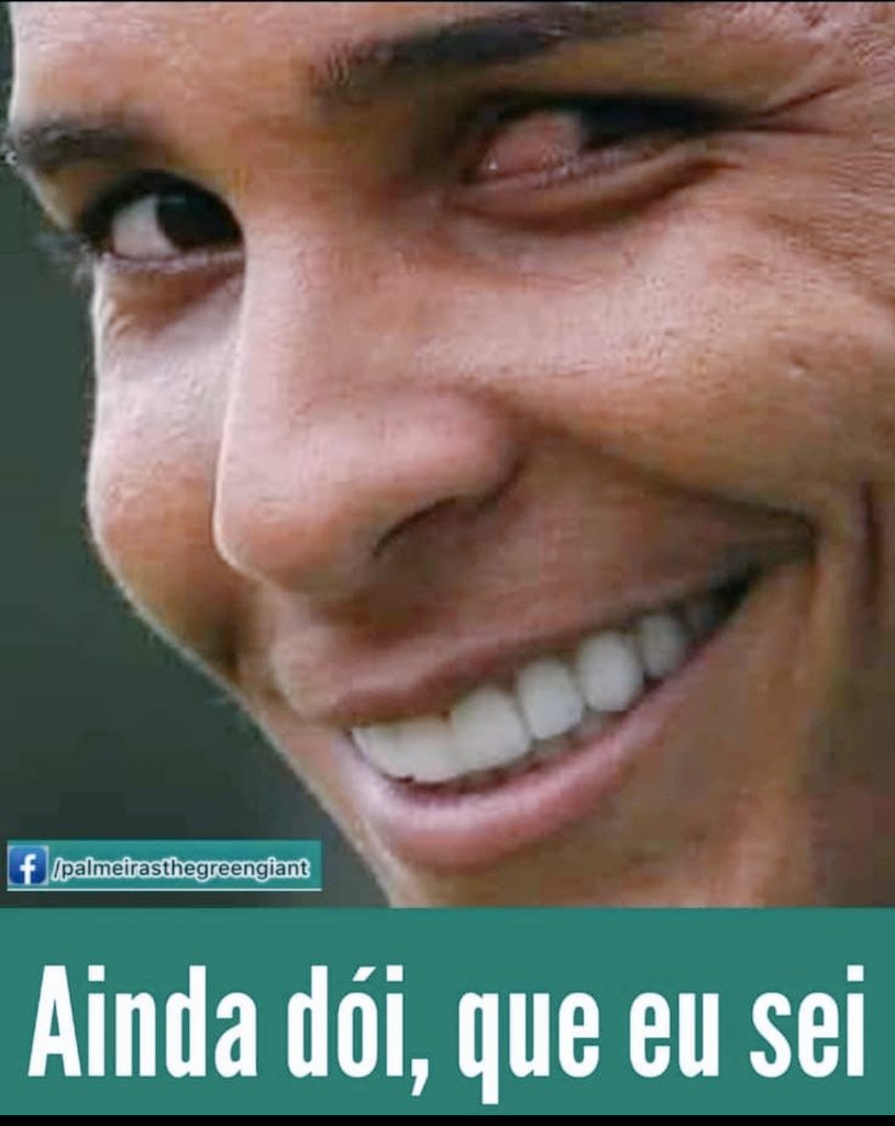 Diego Ribeiro #antiabelizado tweet media