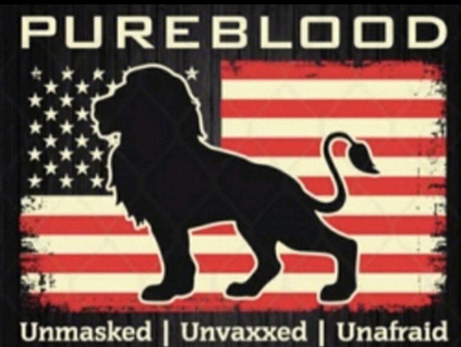 Mr. Star Spangled MAGA tweet media