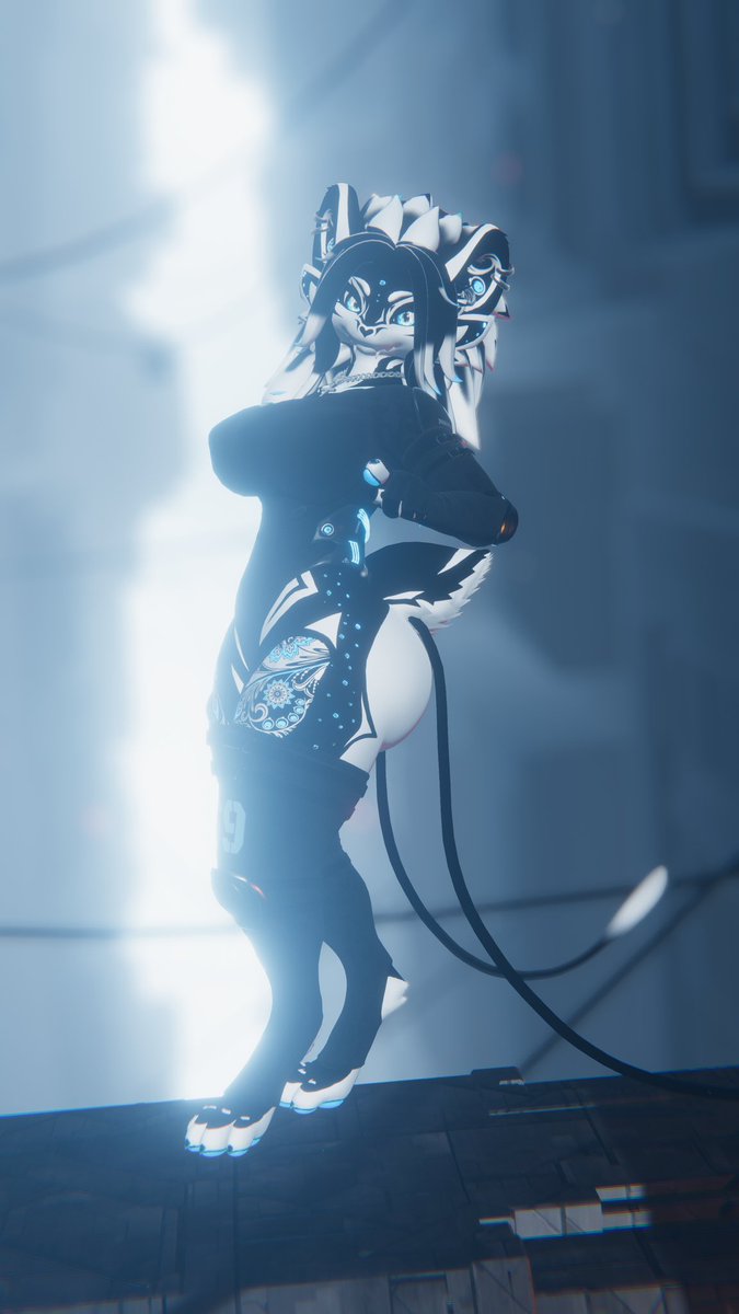 ZLOQ_KOTIK tweet media