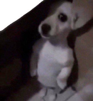 غـلـا tweet media