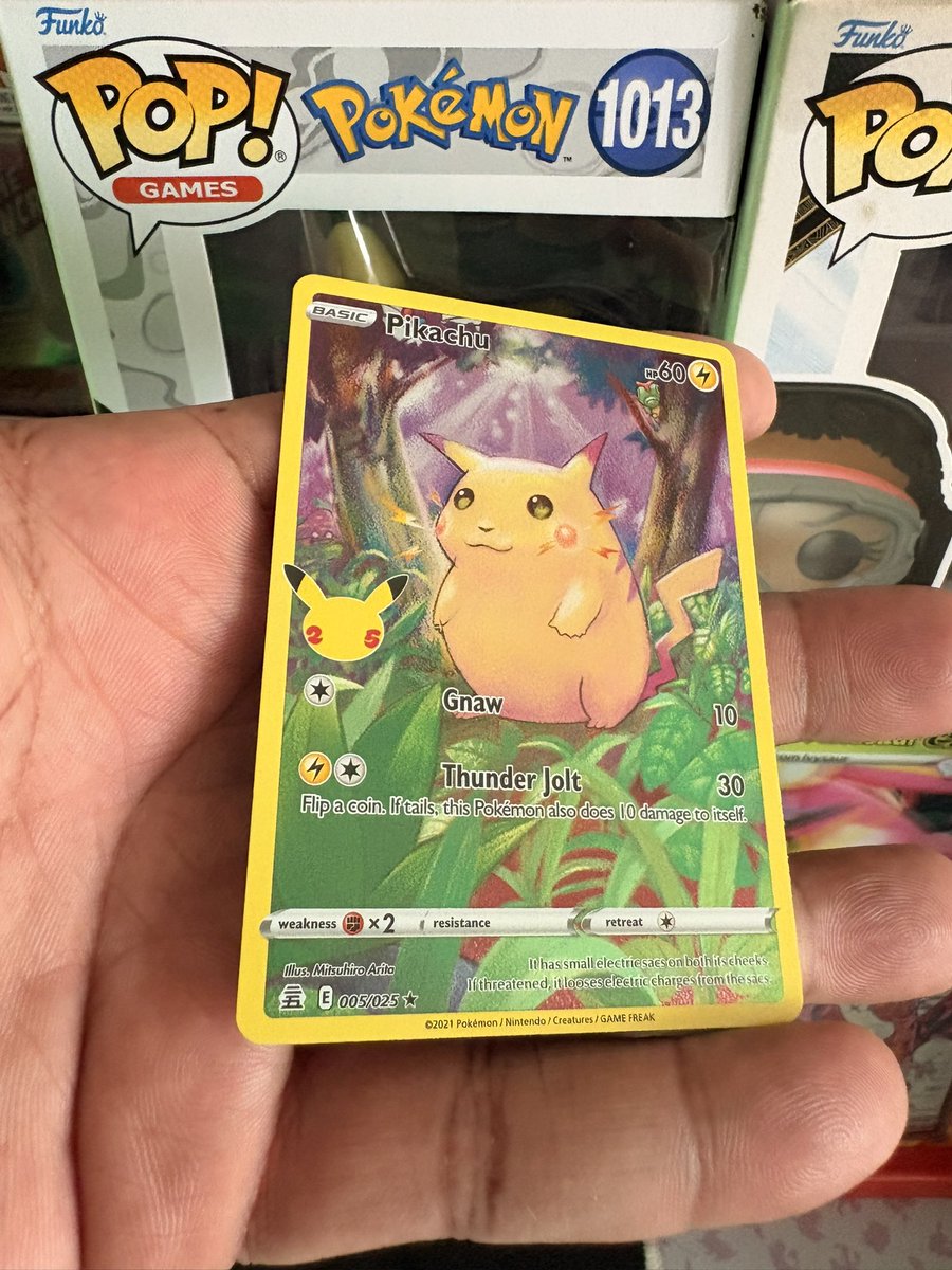 chgdmn's tweet image. A beautiful Sunday indeed 🤩⚡️🐈‍⬛

#mycatloko #angora #pikachu #pokemontcgcommunity #pokepets #pokemongo #pika