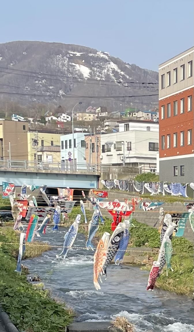 小樽　市場のめしや　まんまる食堂 tweet media