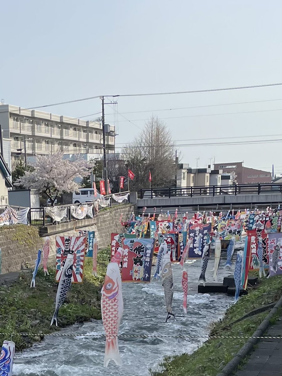 小樽　市場のめしや　まんまる食堂 tweet media