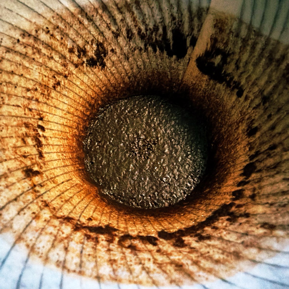 sheepwing_5's tweet image. 今日の特異点。
294 Costa Rica dark roast
#coffee #PHILOCOFFEA #CostaRica