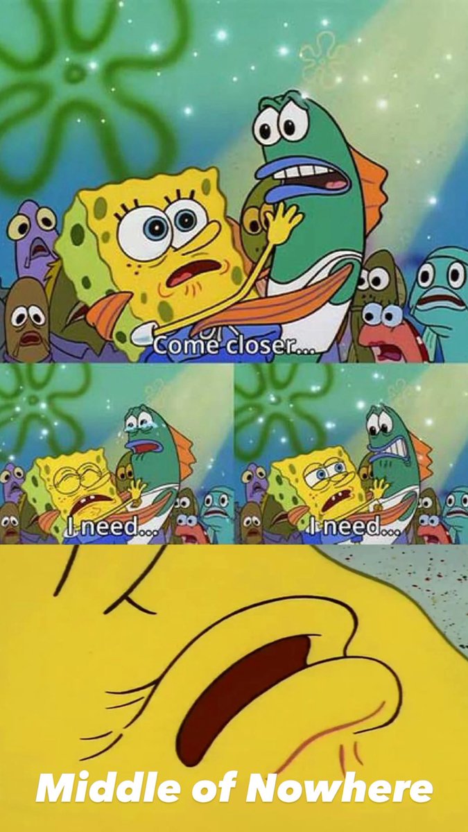 Amanda 🐮 tweet media