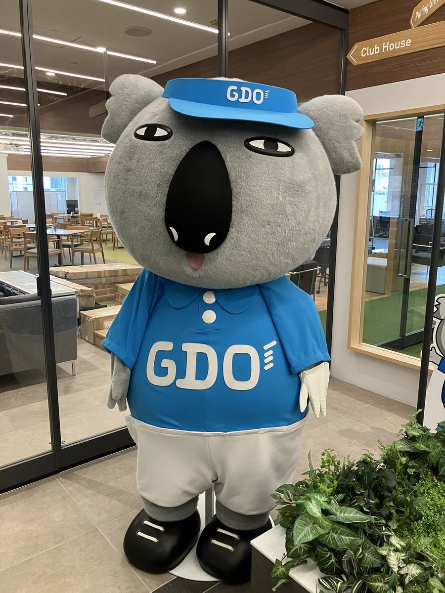 GDO【公式】 tweet media