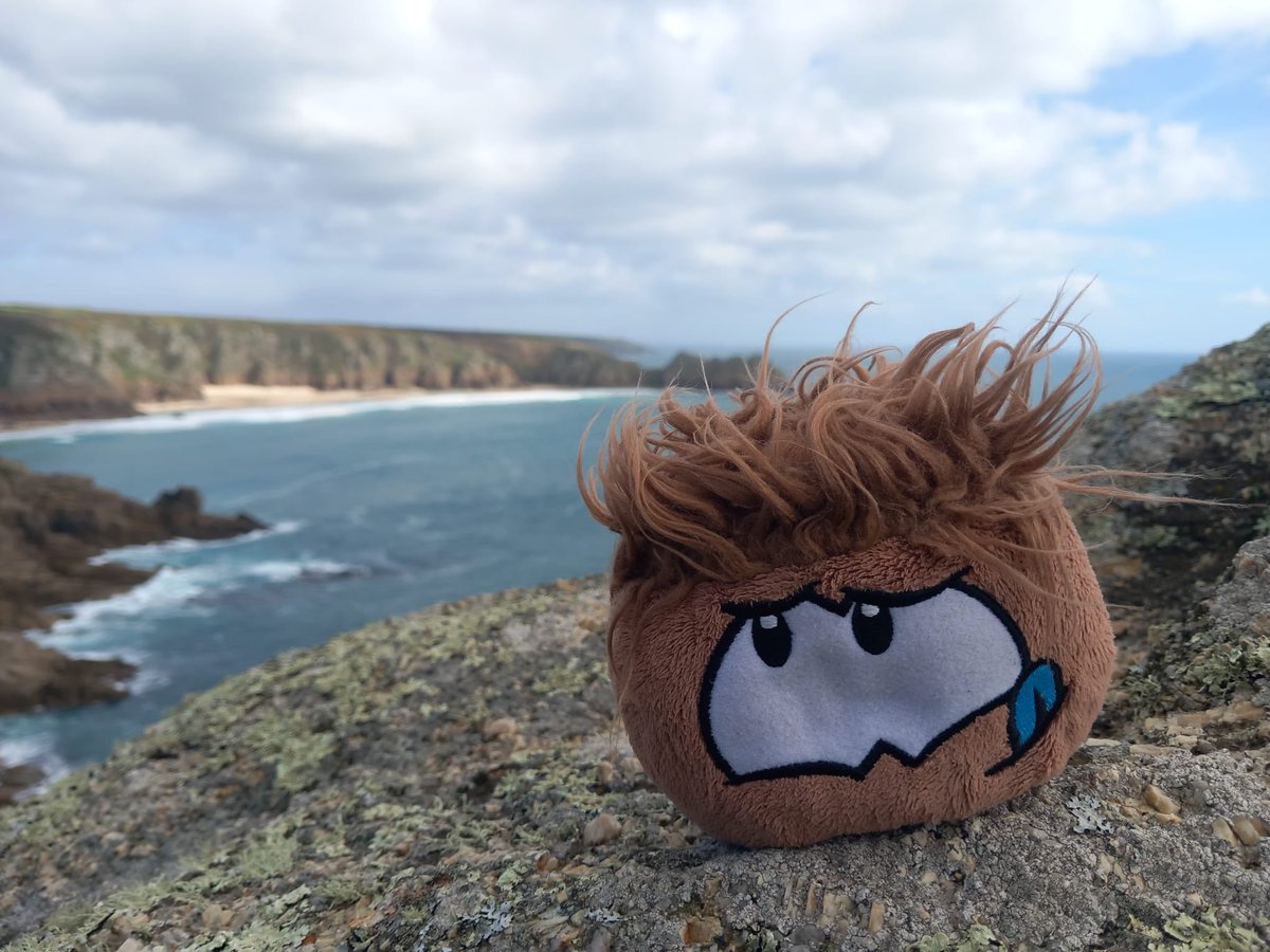 Club Penguin Mountains tweet media