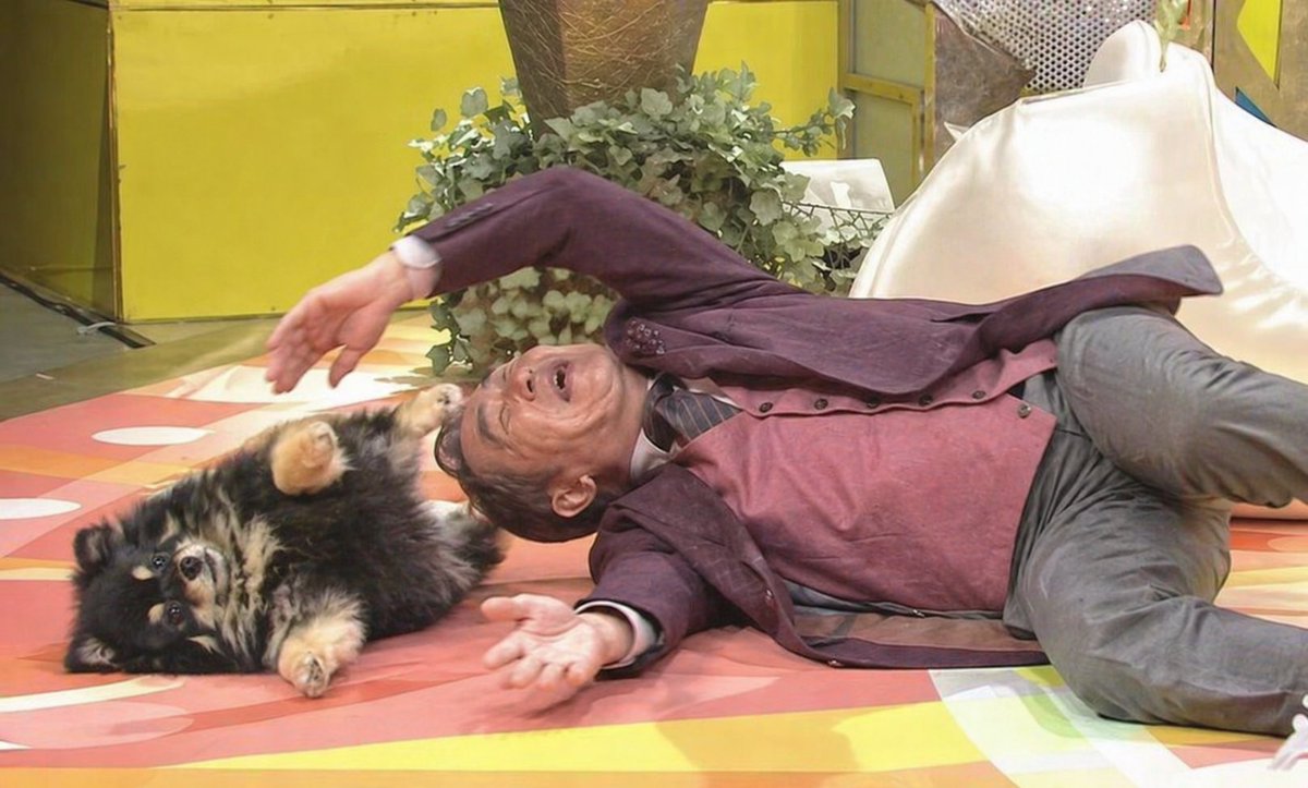 青山 テルーマ♨ tweet media