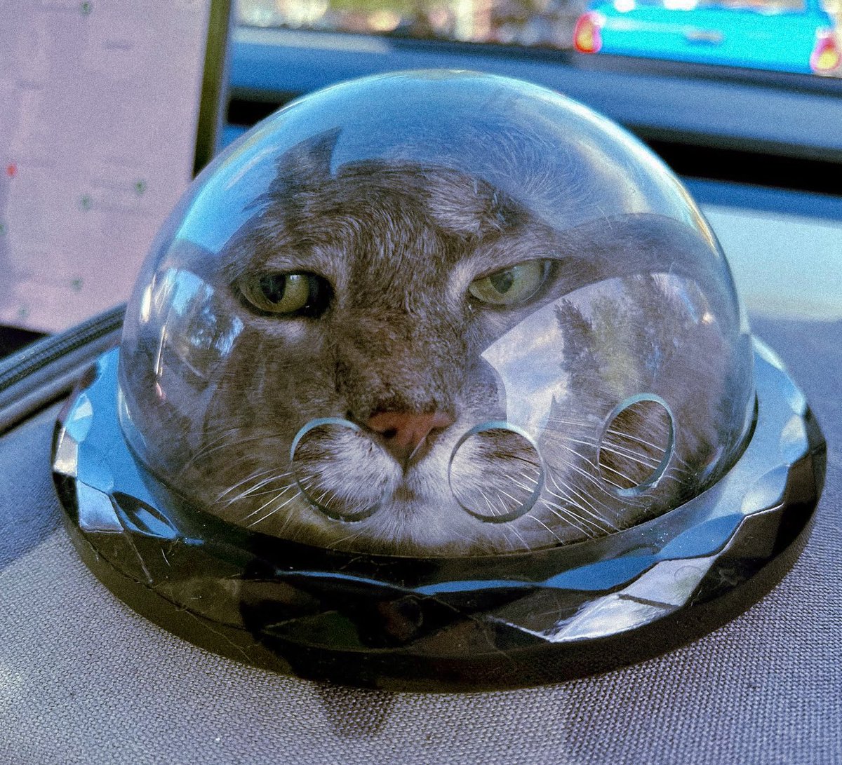 Паскаль 🇷🇺⚓ tweet media